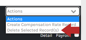 CHR_-_Employee_-_Payroll_-_Compensation_-_Actions_-_02.png
