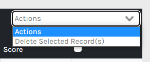 CHR_-_Employee_-_HR_Data_-_Surveys_-_Actions_-_00.png