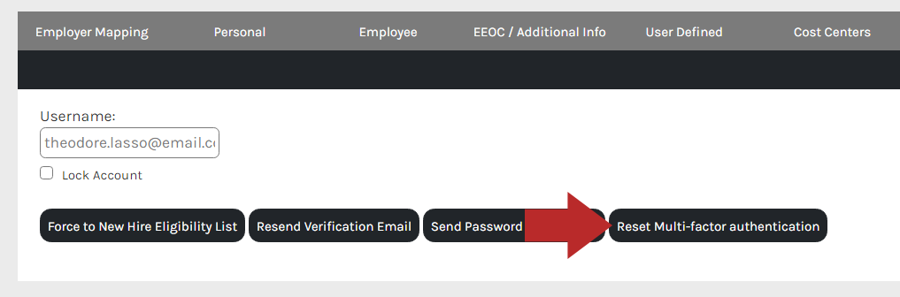 CHR_-_Employee_-_Demographic_Info_-_Accounts_-_01.png