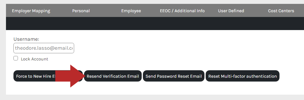 CHR_-_Employee_-_Demographic_Info_-_Accounts_-_02.png